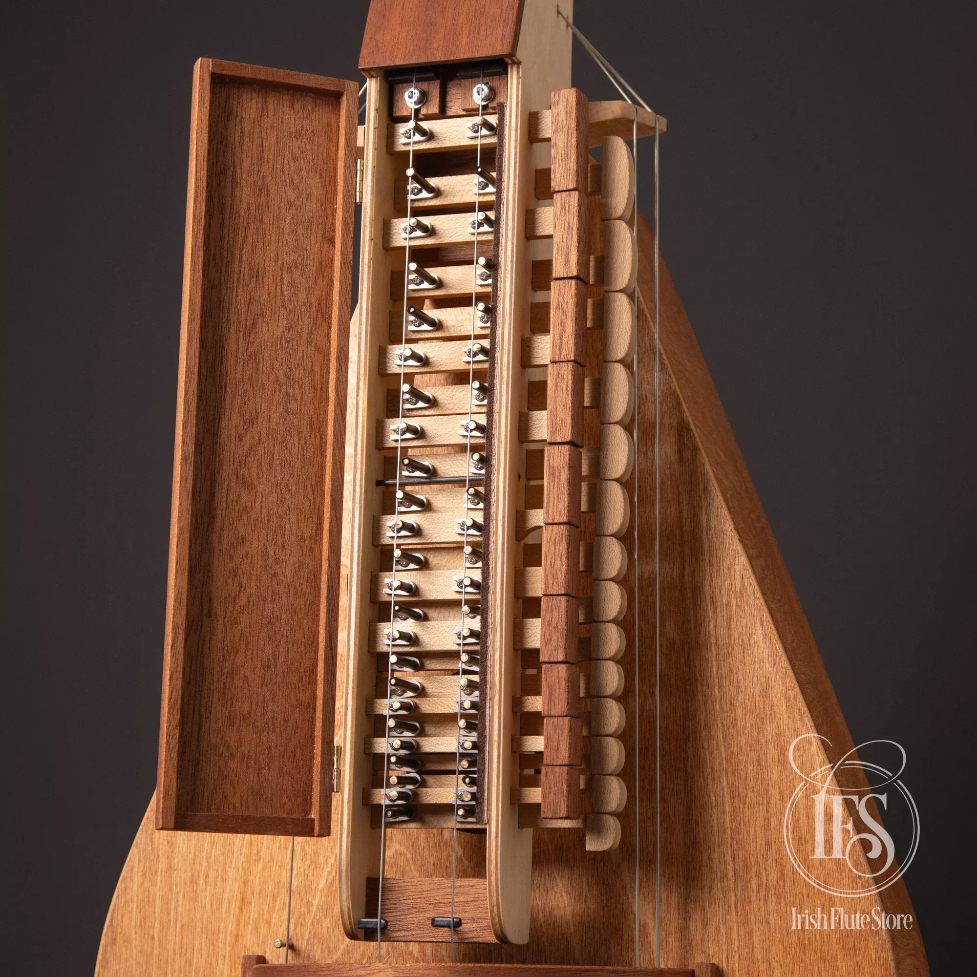 KNYS Catnip B Hurdy-Gurdy, 2023, 6-String