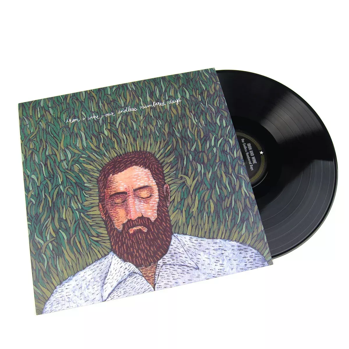Our Endless Numbered Days Vinyl LP