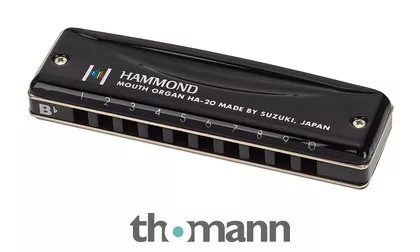 Suzuki HA-20 Hammond Bb